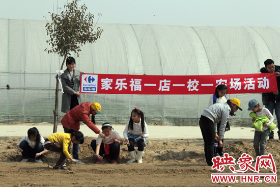 小朋友們在農(nóng)場工作人員的指導下種植娃娃菜