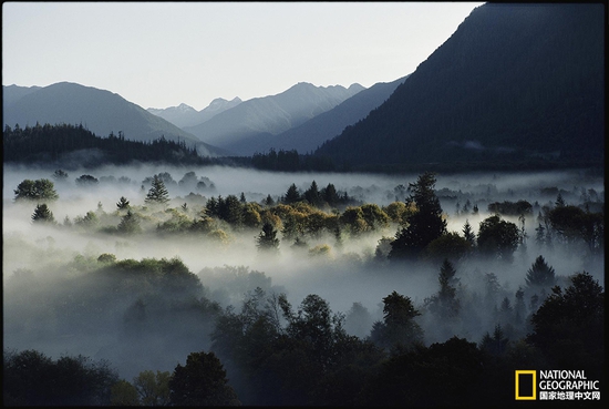 奧林匹克國家公園，華盛頓州攝影：Sam Abell，國家地理創(chuàng)意版