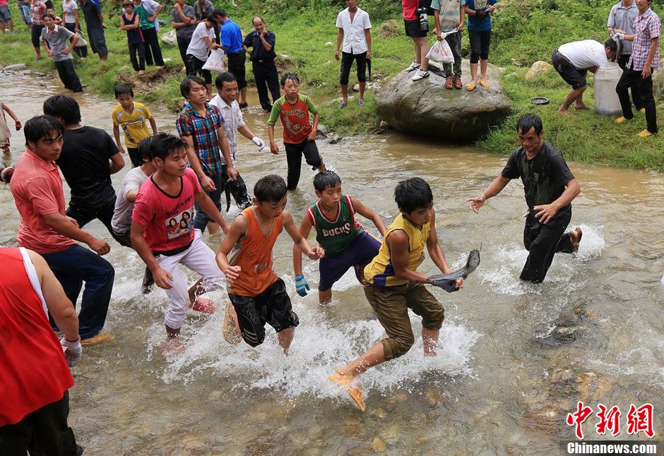 7月9日，村民在小河里摸魚搶魚。譚凱興 攝