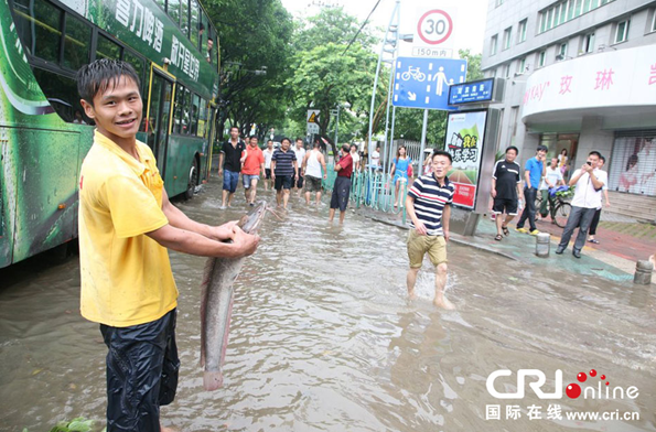 臺(tái)風(fēng)過后廈門城區(qū)積水 市民“渾水摸魚”收獲豐