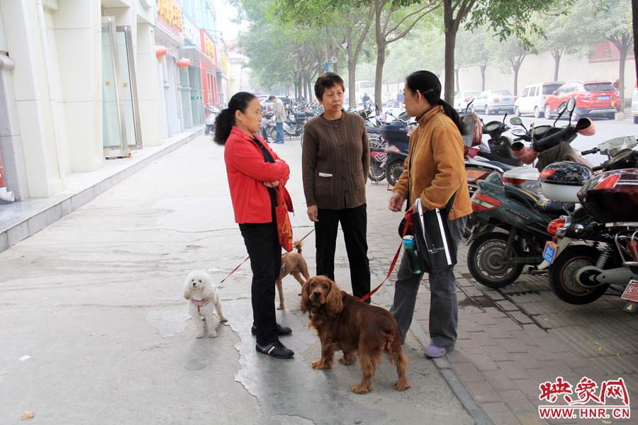 辦過(guò)手續(xù)的市民在一起聊天