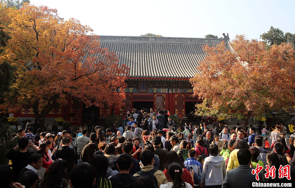 　10月26日，北京香山公園內游客摩肩接踵。