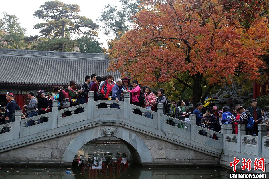 　10月26日，北京香山公園內游客摩肩接踵。