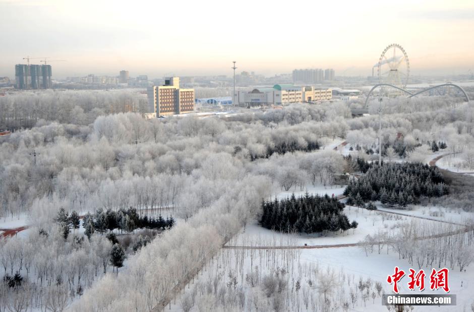 12月10日,受降溫天氣影響,黑河市黑龍江江畔出現(xiàn)綿延數(shù)公里的霧凇景觀。