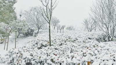 河南多地迎來今年首場降雪 部分地區(qū)今日雪停