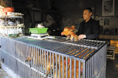 南京另一家農貿市場內待售的活雞。因南京出現(xiàn)H7N9禽流病例，買活雞的顧客減少。