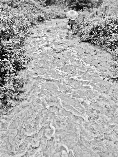 梅子回家的山道，晴天是路，雨天是河