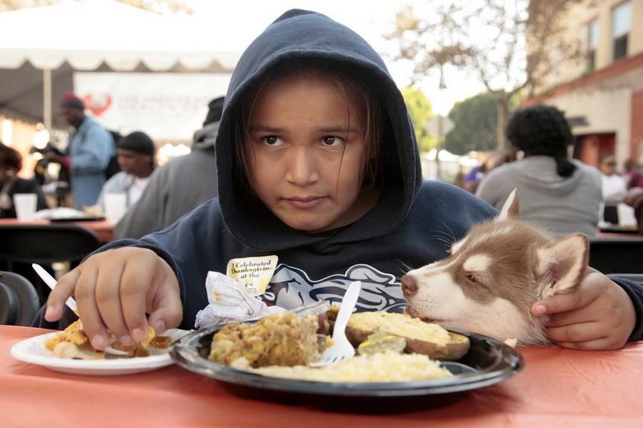 11月21日，加州洛杉磯的游民巷，12歲的堂娜·赫南德茲抱著愛犬“湯米”，安靜地吃著免費(fèi)的感恩節(jié)飯菜