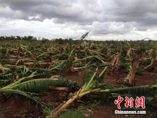 臺(tái)風(fēng)“威馬遜”在越南肆虐引發(fā)泥石流 27人死亡