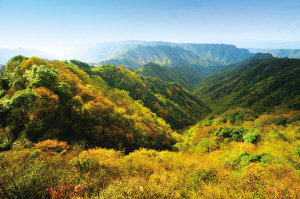 初冬游重慶石柱 90元玩遍四大景區(qū)