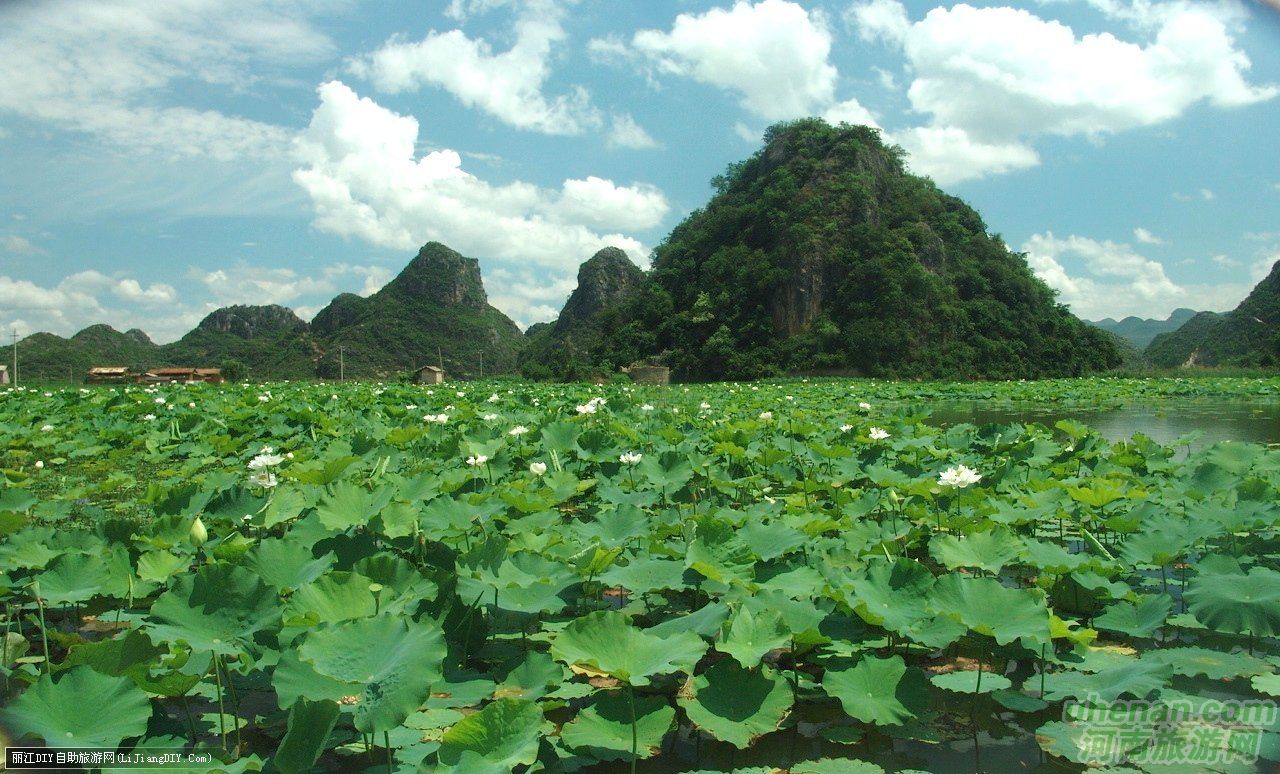 爸爸去哪兒？親密接觸荷花仙子