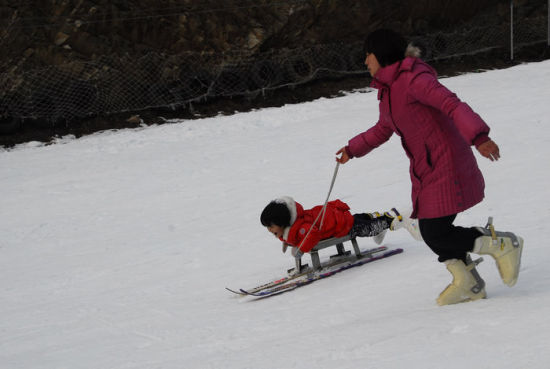 甘山滑雪場“雪戰(zhàn)”首場告捷　引爆冬游三門峽熱潮