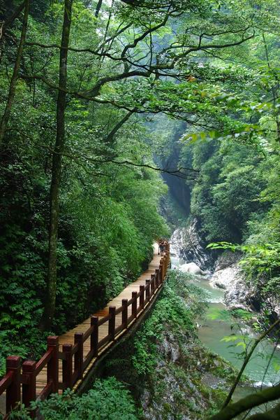 春游好去處 18地市登山首選推薦