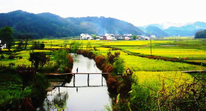 我和鮮花的約會 三月旅游賞花大攻略