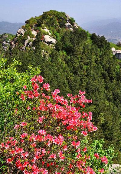 手把手教您玩轉(zhuǎn)信陽(yáng)十大美景