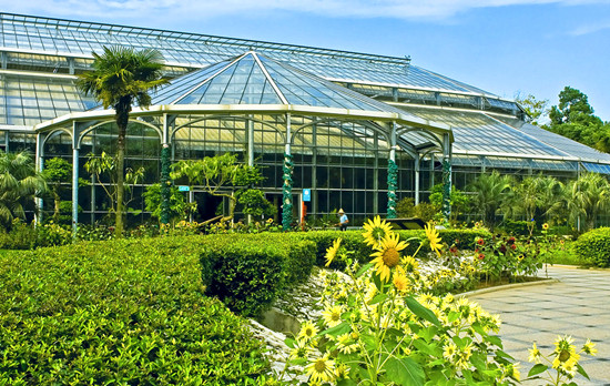 6月賞花哪里去 鄭州植物園百合等待您