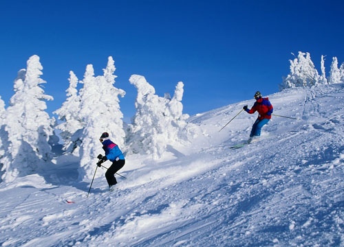 雕琢冬日 不可錯過的滑雪勝地