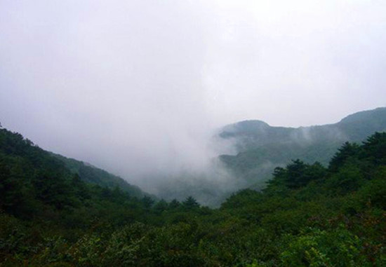 炎炎夏日 避暑哪里去