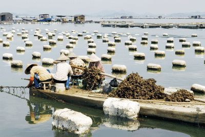 以漁為生，造就了他們不同于內(nèi)地的口味