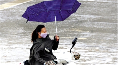 昨日下午，隴海路上，雨中風(fēng)大，一位女士的傘被吹翻了。