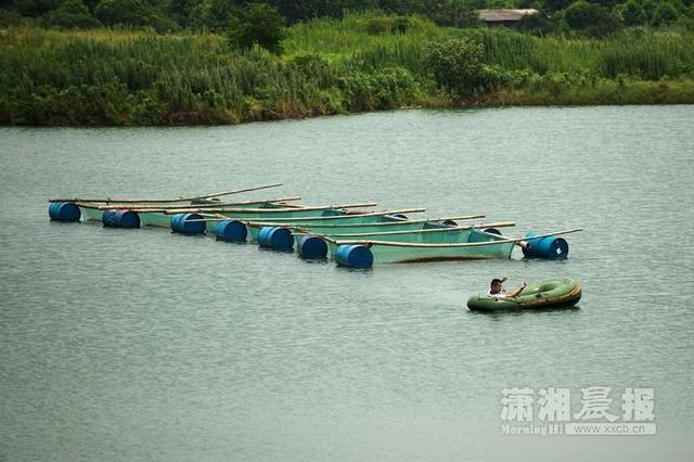 長(zhǎng)沙“世界第一高樓”工程停擺2年 工地變漁場(chǎng)