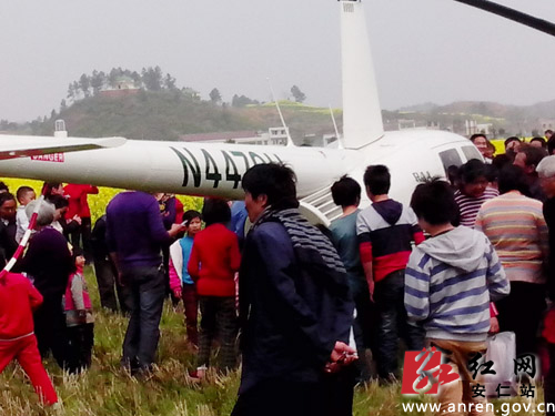 直升機(jī)主在空中賞花后停泊在油菜花旁的空地上