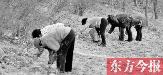 春游踏青 高校成“后花園”