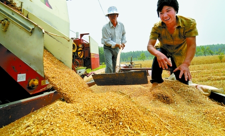 6月3日， 濮陽開發(fā)區(qū)胡村鄉(xiāng)后范莊村的續(xù)秀萍看著新打的粒大飽滿的小麥喜上眉梢。