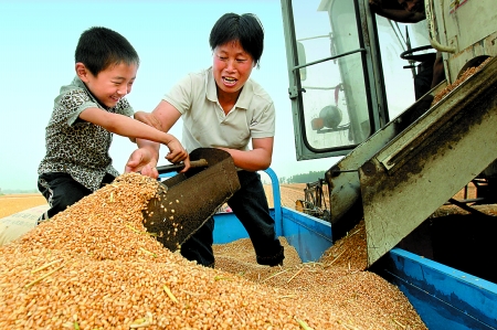 5月27日，確山縣劉店鎮(zhèn)前槽村郭景蓮和小孫子一起收獲小麥，豐收的喜悅寫在了臉上。