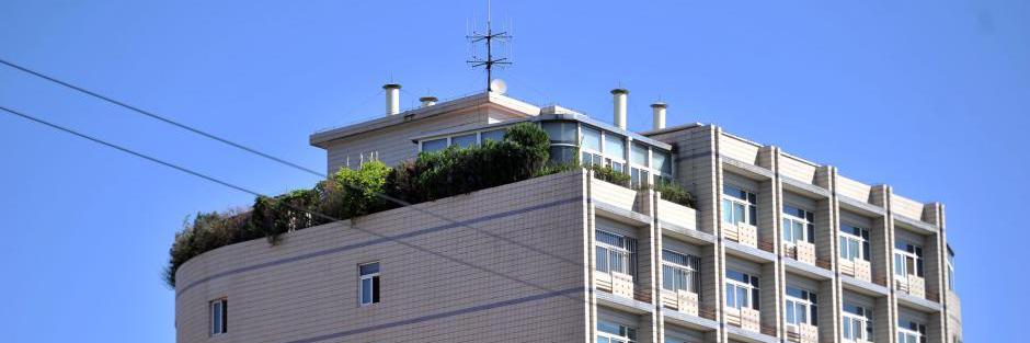 北京一大廈樓頂建“空中花園”