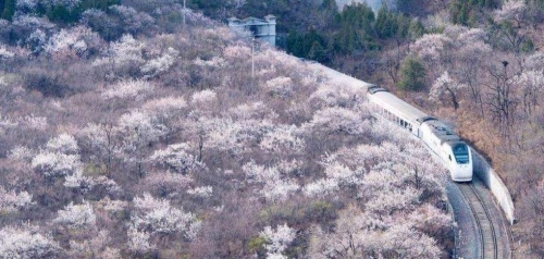 開往春天的列車