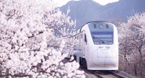 開往春天的列車