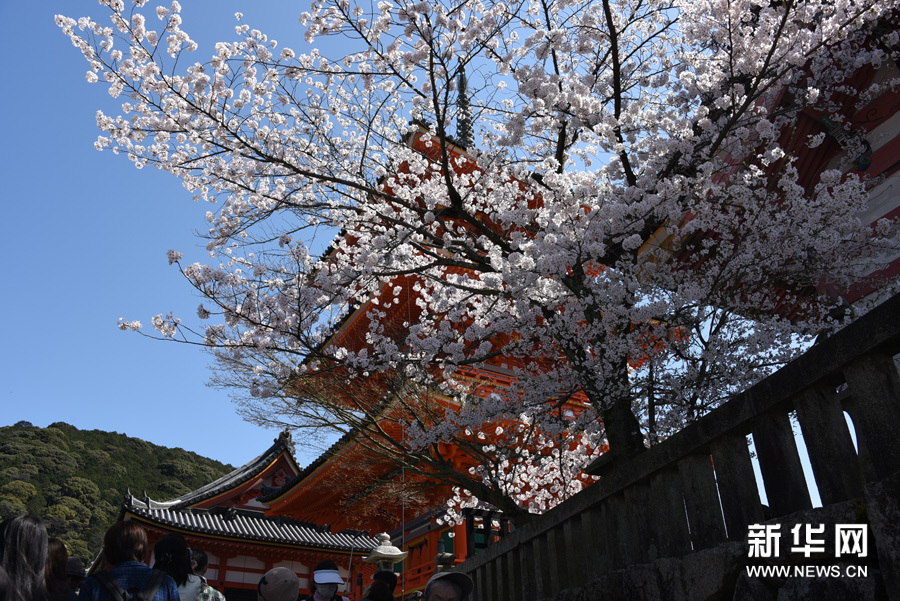 莫負(fù)人間四月天