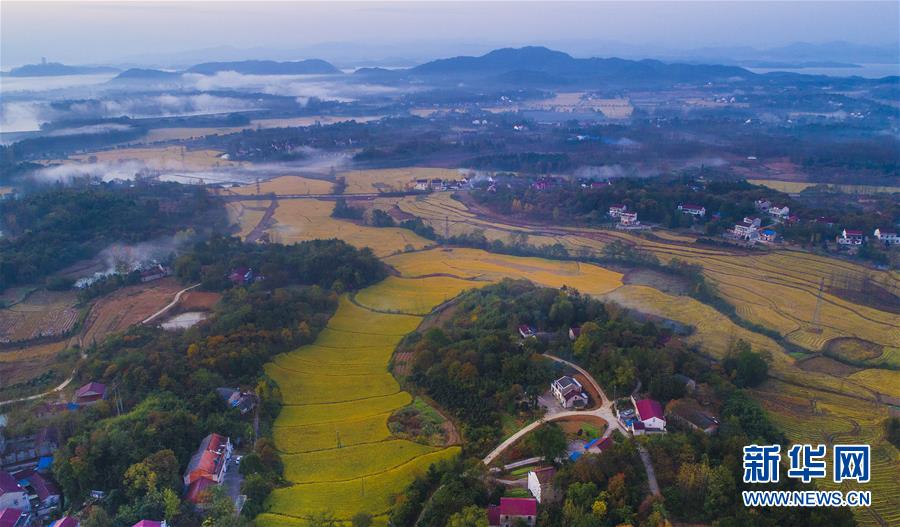 云蒸霞蔚小山村