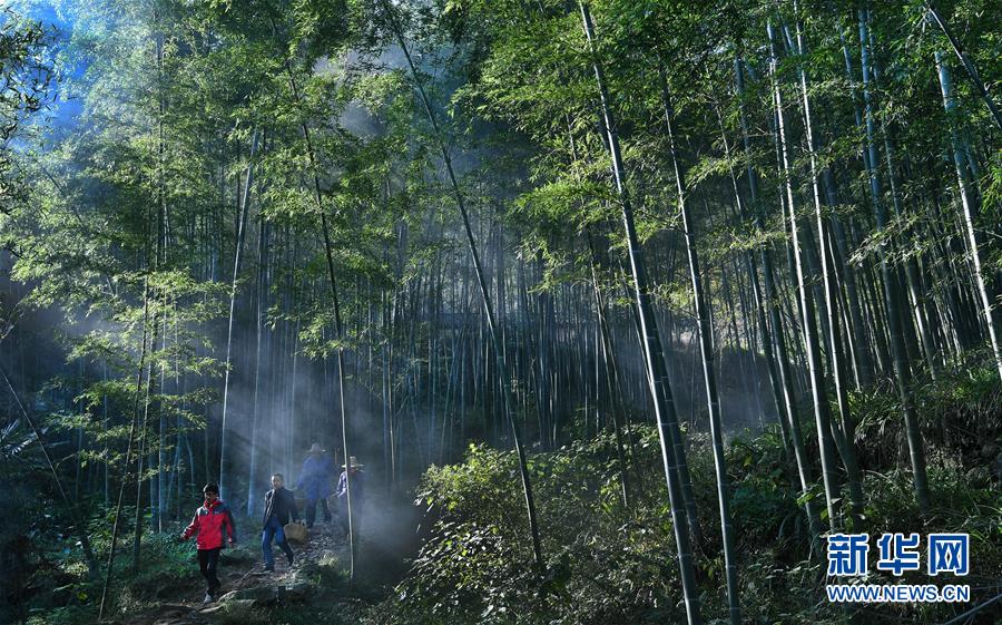 云蒸霞蔚小山村