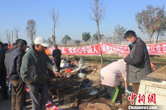 圖為百余名愛(ài)狗人士把老李的貨車(chē)攔截，數(shù)十人正在從貨車(chē)上卸下裝滿狗的鐵籠。　馬義恒　攝