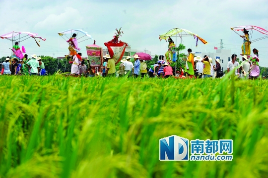 崖口村每年都在村里舉行飄色巡游活動。