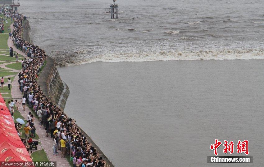 數(shù)萬(wàn)人浙江嘉興觀看錢(qián)塘大潮