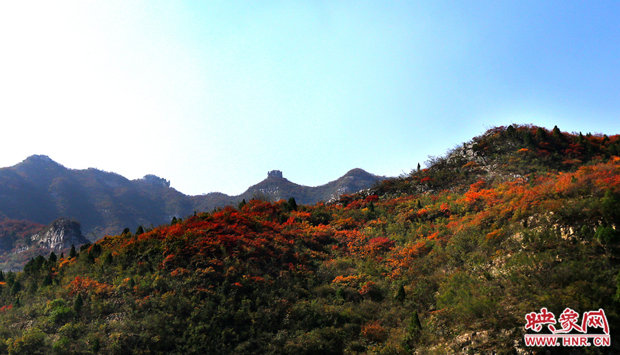 山頂秋葉的一抹紅葉縈繞山間