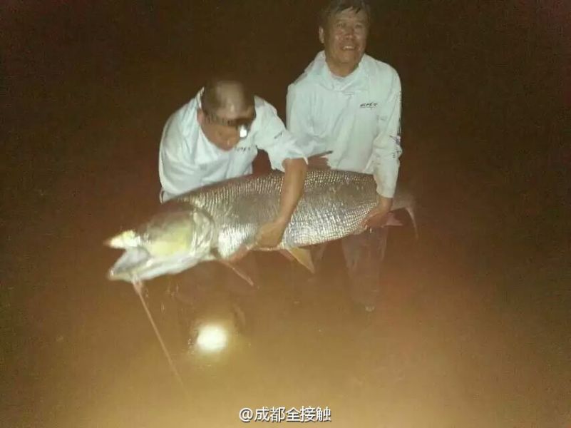 圖為大魚(yú)需要兩個(gè)人抱起。