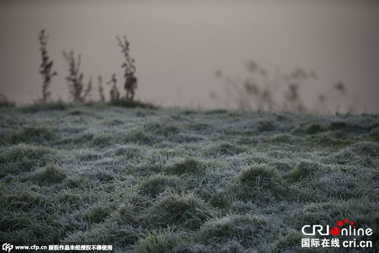 英迎冬季首波大幅降溫 多地大霧“裹”城(高清組圖)