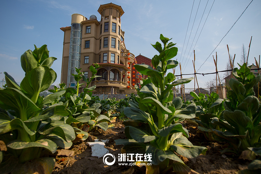 浙江土豪建史上最壕農(nóng)居房