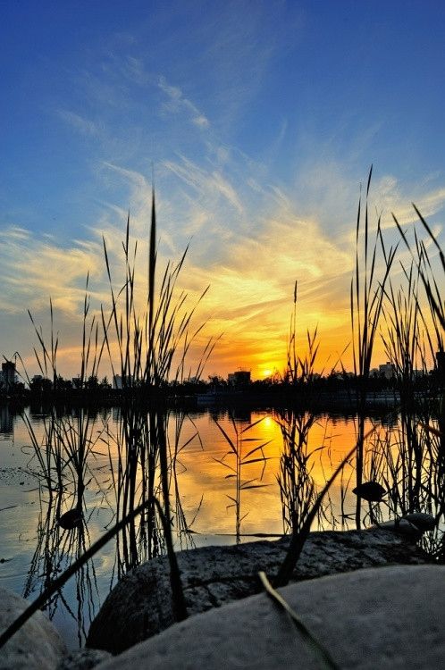 夕陽無限好 西安不可錯(cuò)過的夕照勝景地