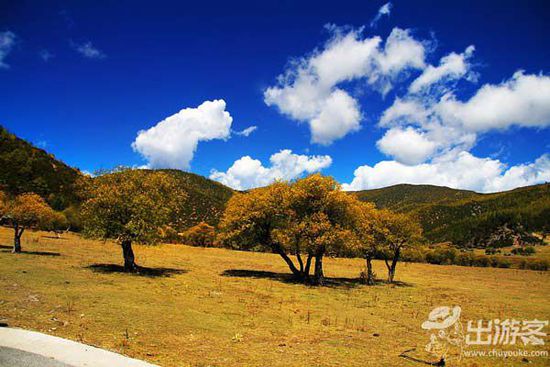 九月份適合去哪里旅游?九月最美的地方