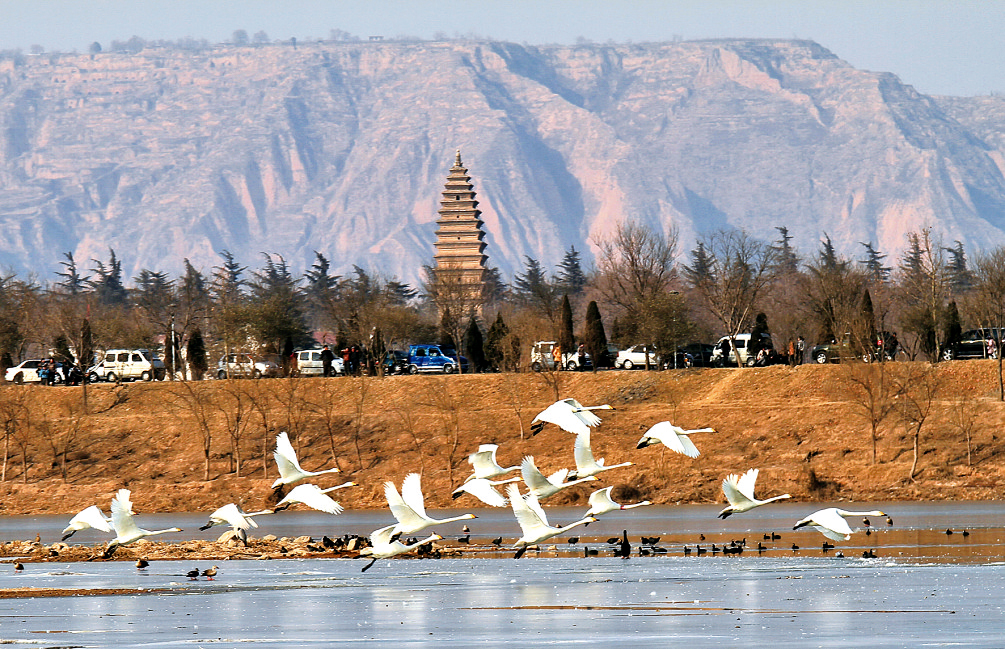 5月19日，“中國旅游日”河南分會(huì)場(chǎng)活動(dòng)將在天鵝之城——三門峽舉辦。