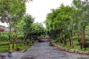 雨后清園