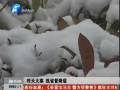 河南省20日普降瑞雪 霧霾天氣仍將繼續(xù)